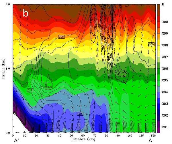 Realimentaciones climáticas y desertificación: El modelo mediterráneo